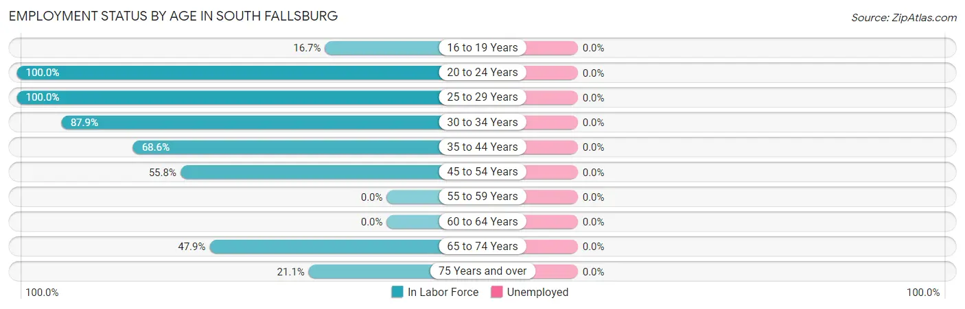 Employment Status by Age in South Fallsburg