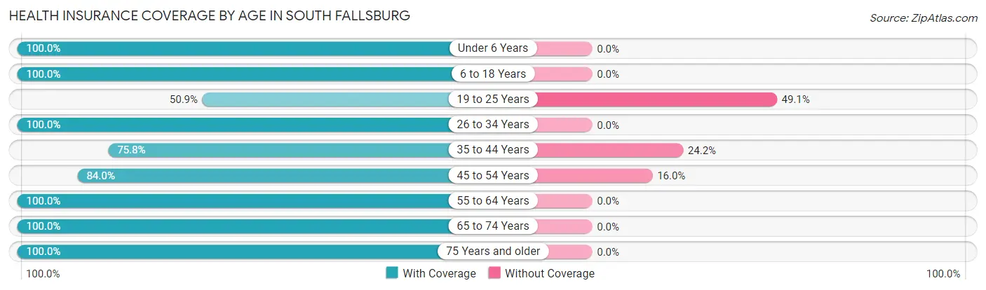 Health Insurance Coverage by Age in South Fallsburg
