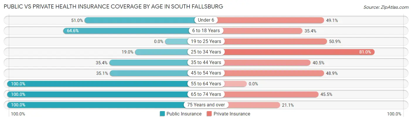 Public vs Private Health Insurance Coverage by Age in South Fallsburg