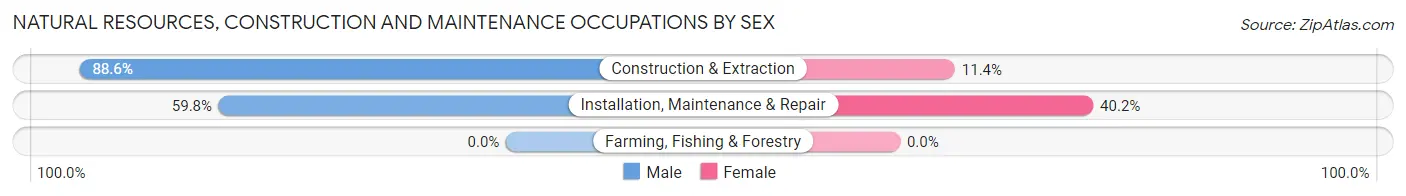 Natural Resources, Construction and Maintenance Occupations by Sex in South Huntington
