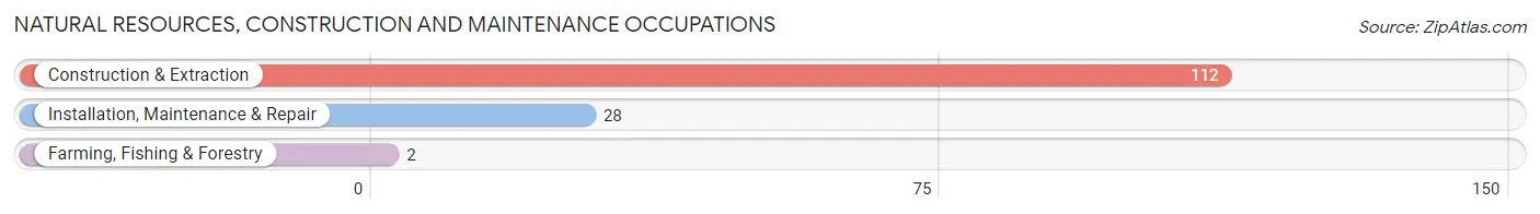 Natural Resources, Construction and Maintenance Occupations in Southampton