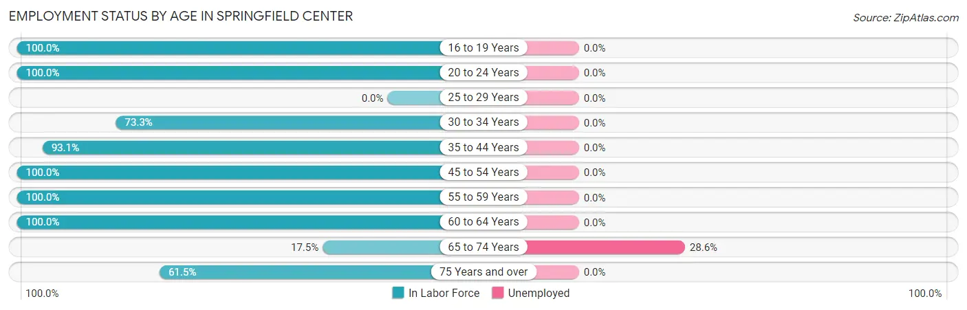 Employment Status by Age in Springfield Center