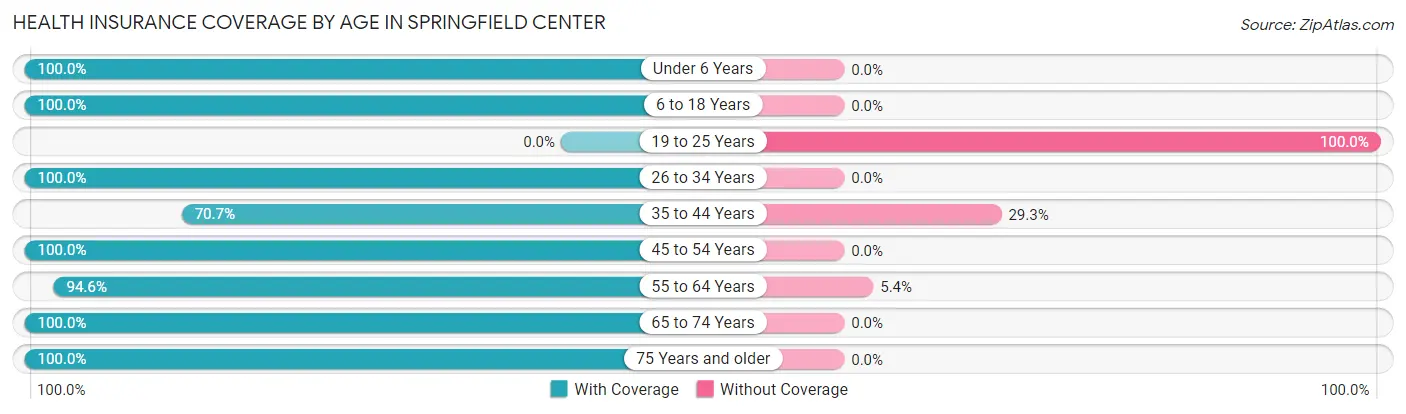 Health Insurance Coverage by Age in Springfield Center