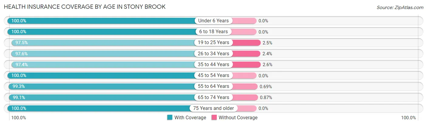 Health Insurance Coverage by Age in Stony Brook