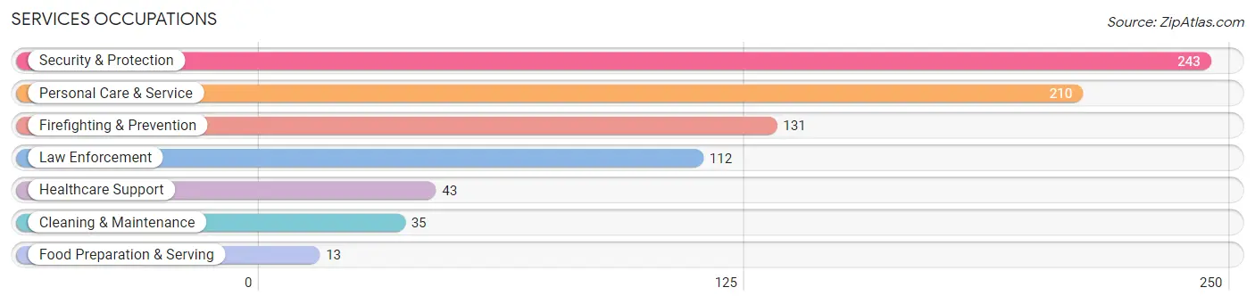 Services Occupations in Stony Brook