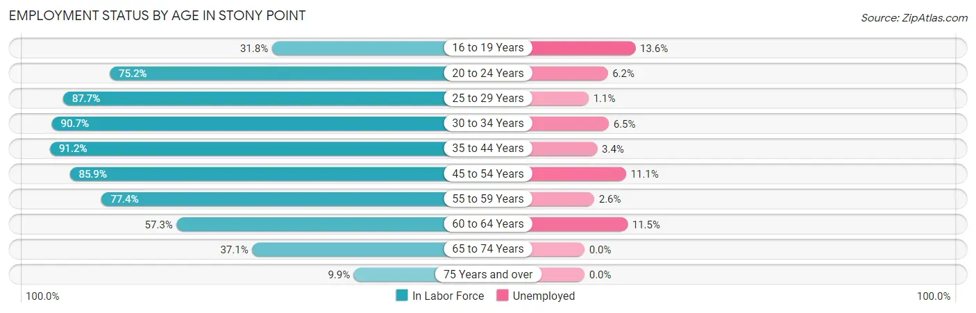 Employment Status by Age in Stony Point