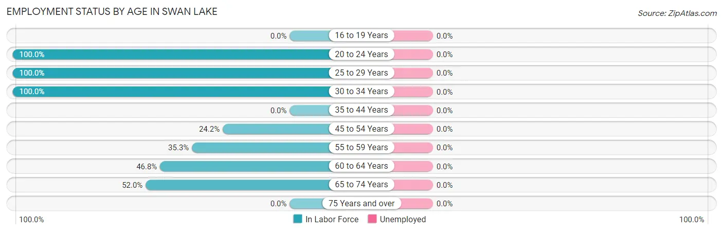 Employment Status by Age in Swan Lake