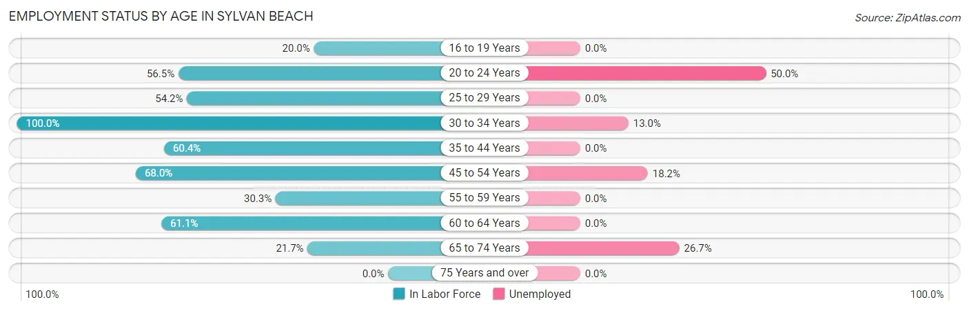 Employment Status by Age in Sylvan Beach