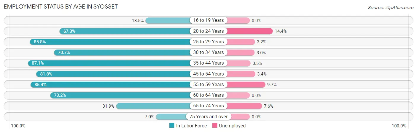 Employment Status by Age in Syosset