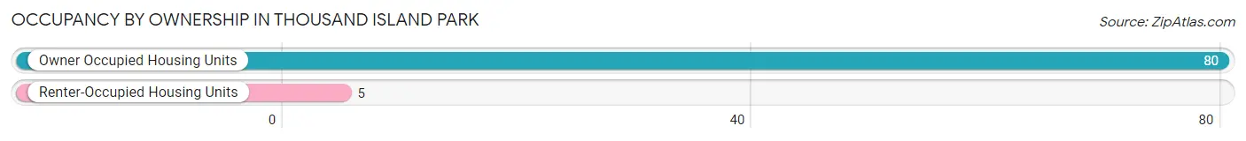 Occupancy by Ownership in Thousand Island Park