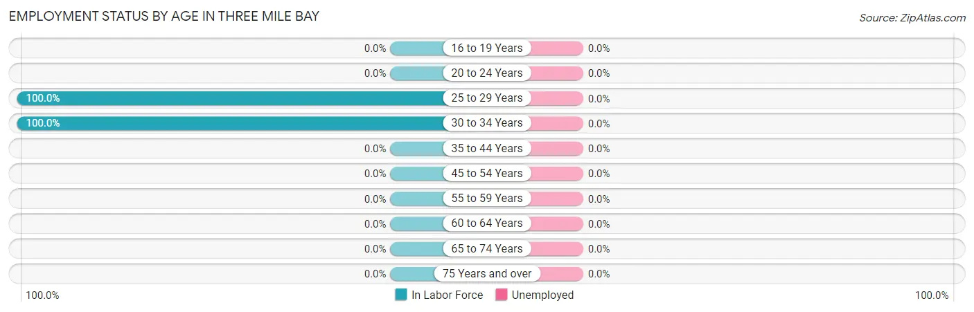 Employment Status by Age in Three Mile Bay