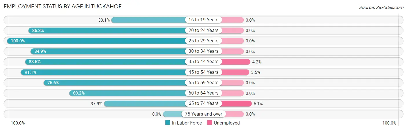 Employment Status by Age in Tuckahoe