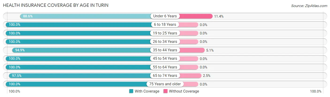 Health Insurance Coverage by Age in Turin