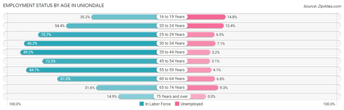 Employment Status by Age in Uniondale