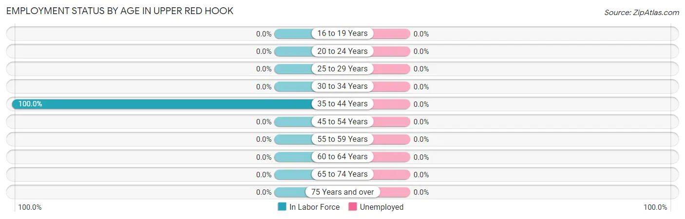 Employment Status by Age in Upper Red Hook