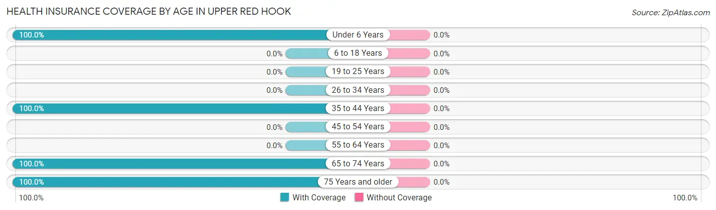Health Insurance Coverage by Age in Upper Red Hook