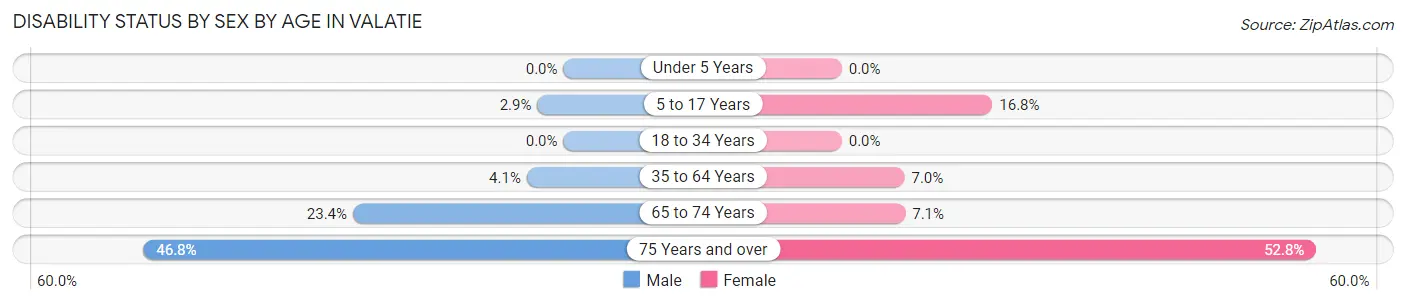 Disability Status by Sex by Age in Valatie