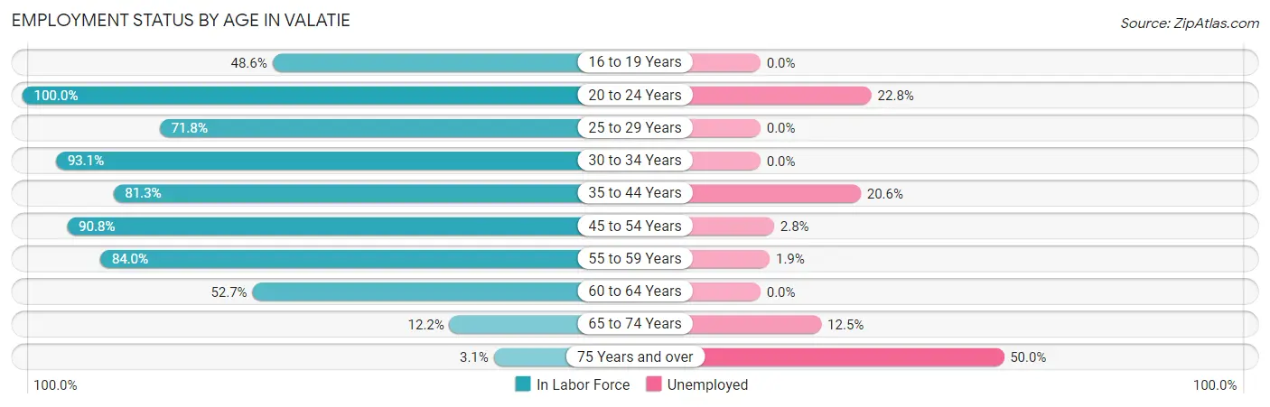 Employment Status by Age in Valatie