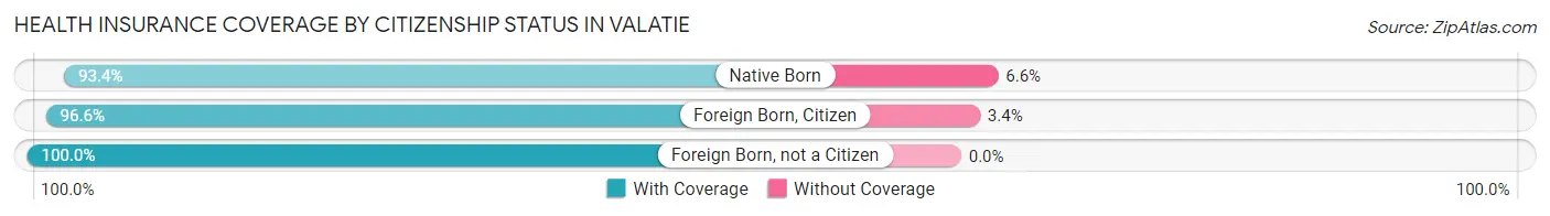 Health Insurance Coverage by Citizenship Status in Valatie