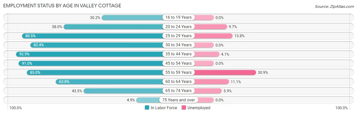 Employment Status by Age in Valley Cottage