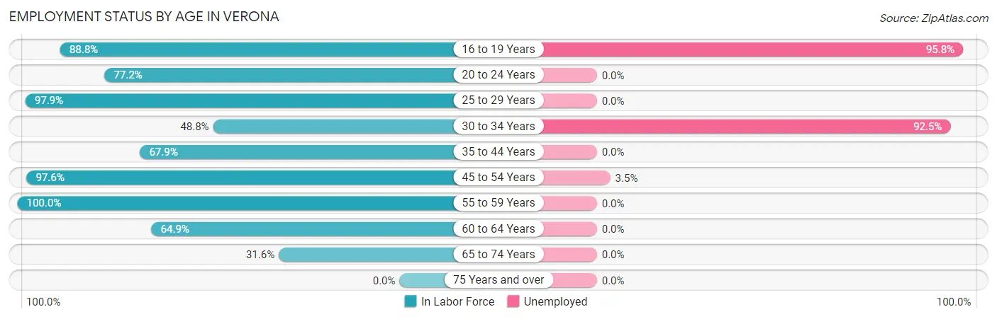 Employment Status by Age in Verona