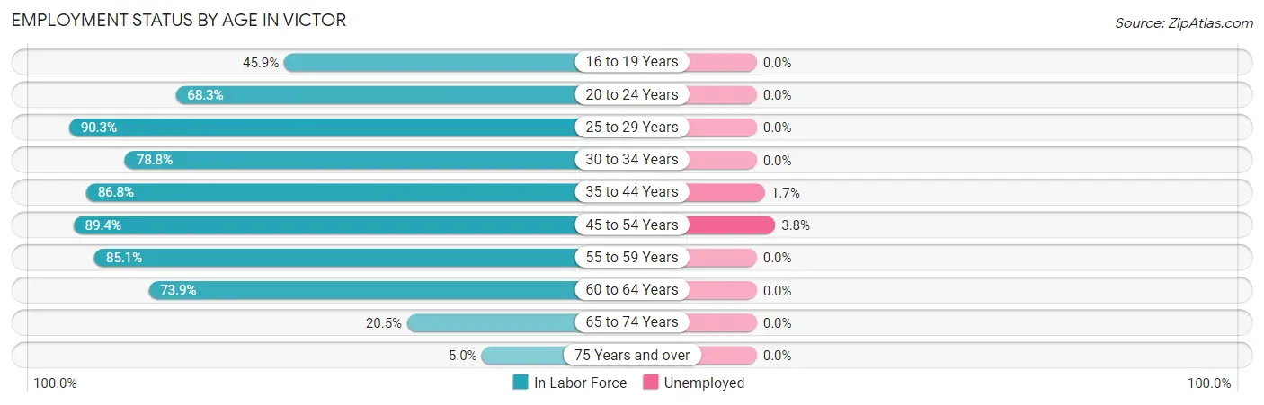 Employment Status by Age in Victor