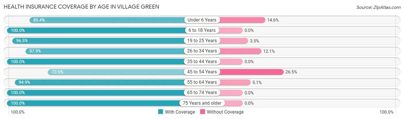 Health Insurance Coverage by Age in Village Green