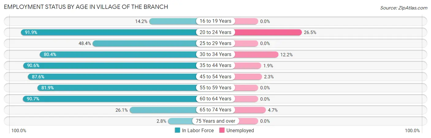 Employment Status by Age in Village of the Branch
