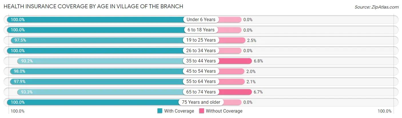 Health Insurance Coverage by Age in Village of the Branch