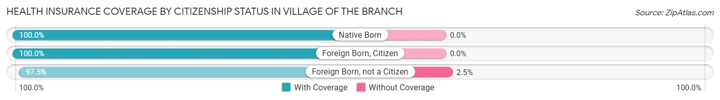 Health Insurance Coverage by Citizenship Status in Village of the Branch