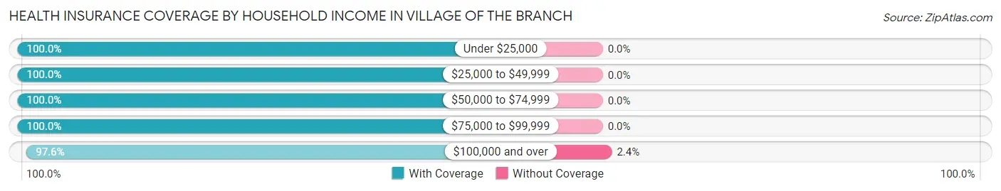 Health Insurance Coverage by Household Income in Village of the Branch