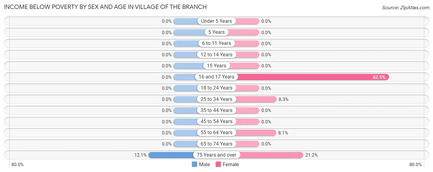 Income Below Poverty by Sex and Age in Village of the Branch