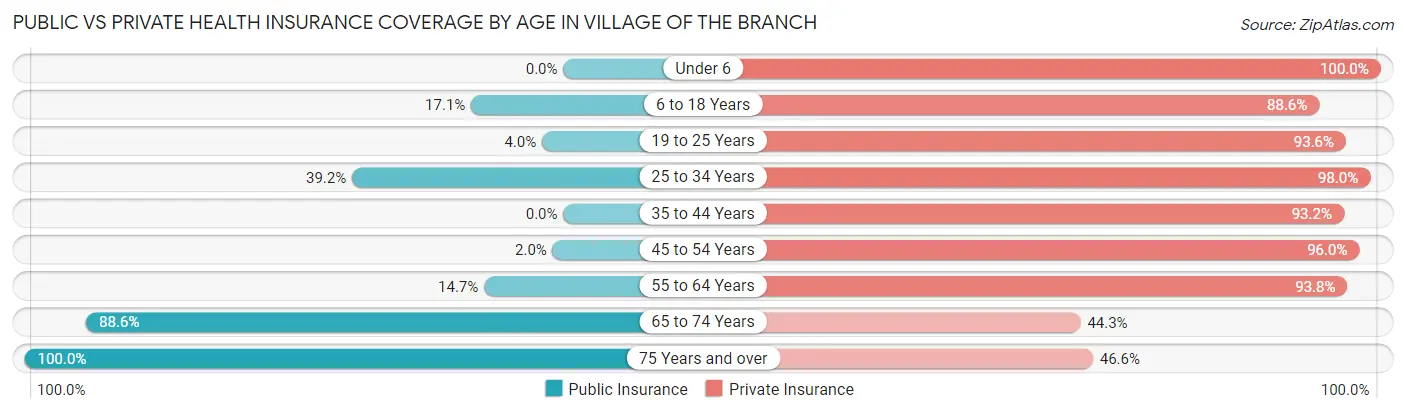 Public vs Private Health Insurance Coverage by Age in Village of the Branch