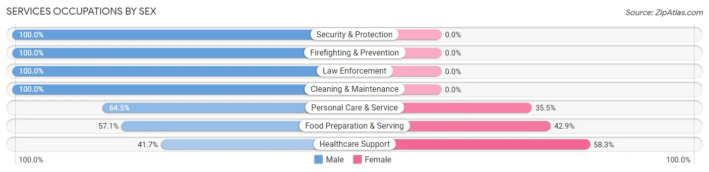 Services Occupations by Sex in Village of the Branch