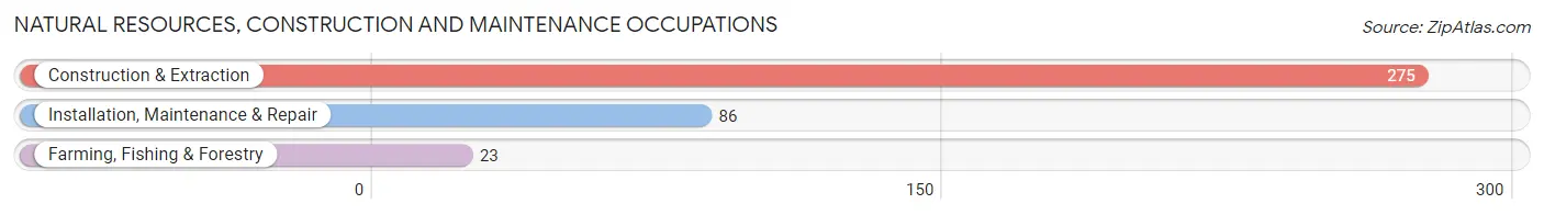 Natural Resources, Construction and Maintenance Occupations in Wading River