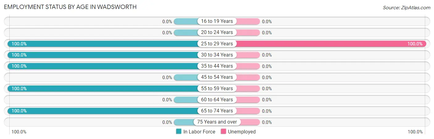 Employment Status by Age in Wadsworth