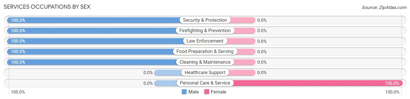 Services Occupations by Sex in Wallkill