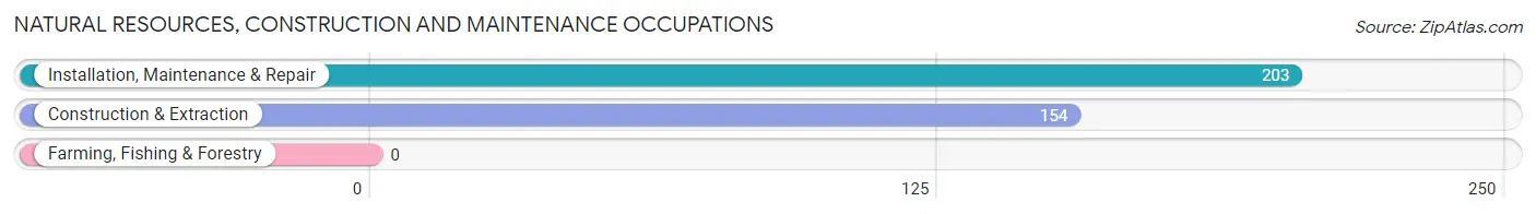 Natural Resources, Construction and Maintenance Occupations in Walton Park