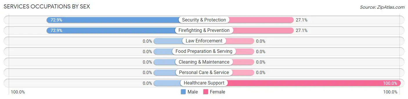 Services Occupations by Sex in Walworth