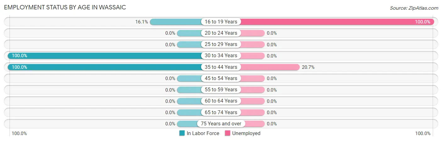 Employment Status by Age in Wassaic