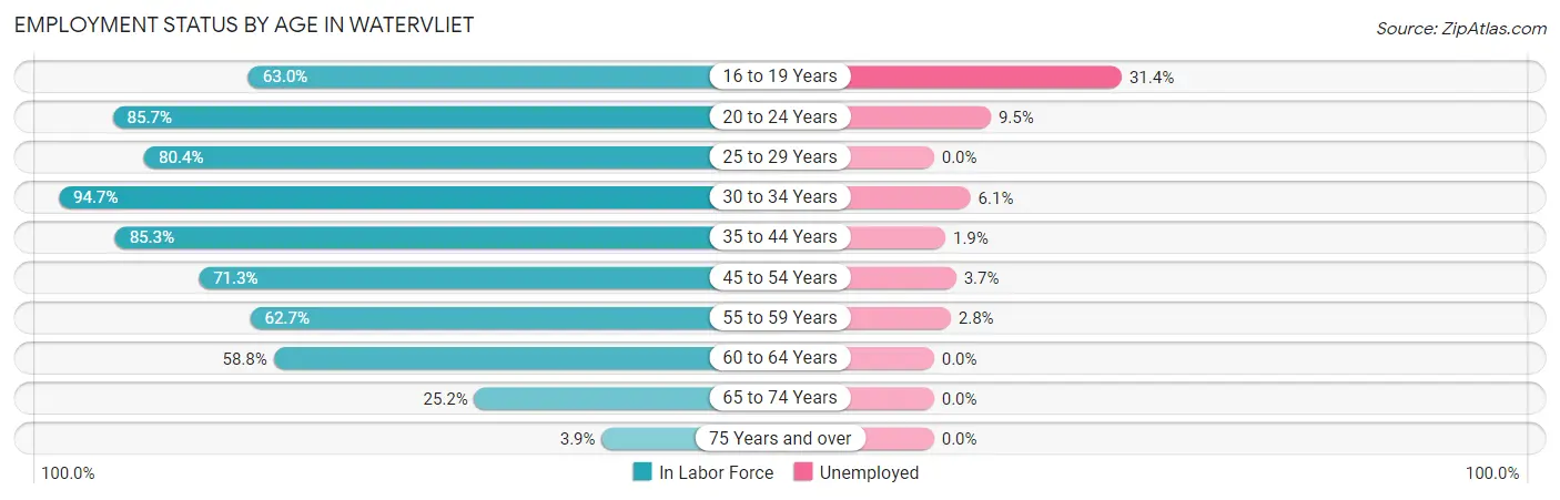 Employment Status by Age in Watervliet