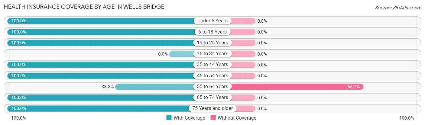 Health Insurance Coverage by Age in Wells Bridge