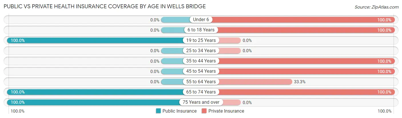 Public vs Private Health Insurance Coverage by Age in Wells Bridge