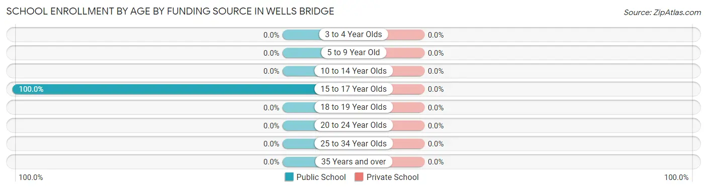 School Enrollment by Age by Funding Source in Wells Bridge