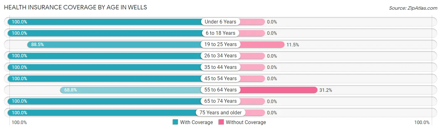 Health Insurance Coverage by Age in Wells