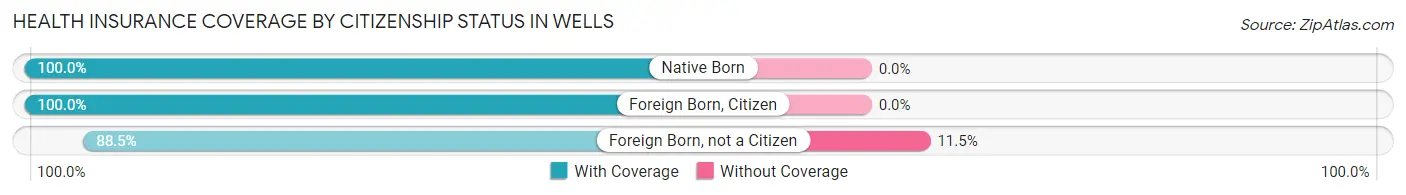 Health Insurance Coverage by Citizenship Status in Wells