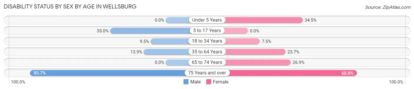Disability Status by Sex by Age in Wellsburg