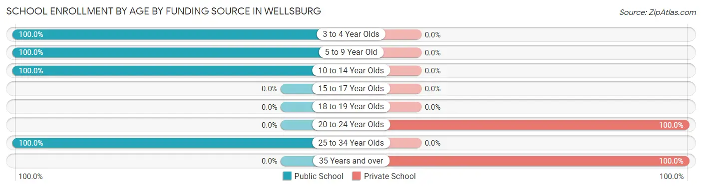 School Enrollment by Age by Funding Source in Wellsburg