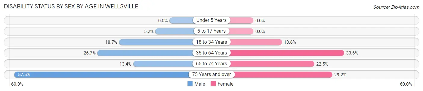 Disability Status by Sex by Age in Wellsville