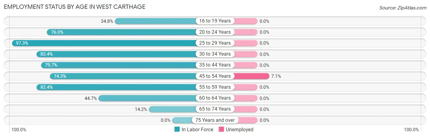Employment Status by Age in West Carthage